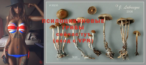 индика Абдулино