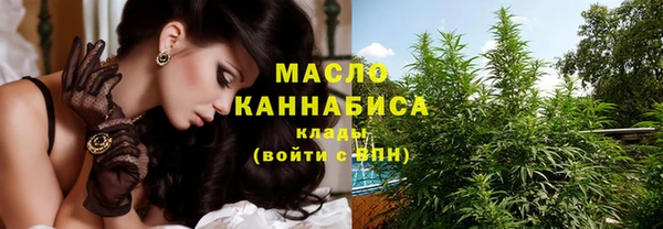 индика Абдулино