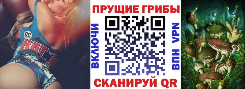 Галлюциногенные грибы Psilocybe сайты даркнета официальный сайт Фокино купить наркоту